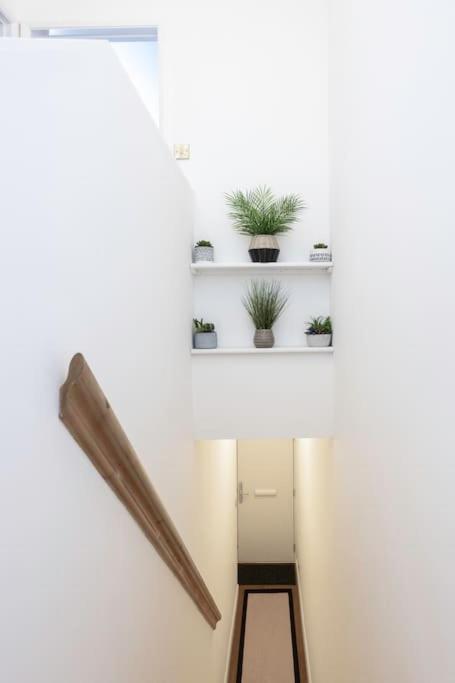 Stunning Modern Space In & Free Parking Apartment Brighton
